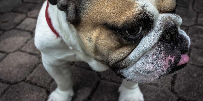 BIM技术如何重塑装修工程?北京佳诚揭秘从材料管理到施工落地的全流程优化