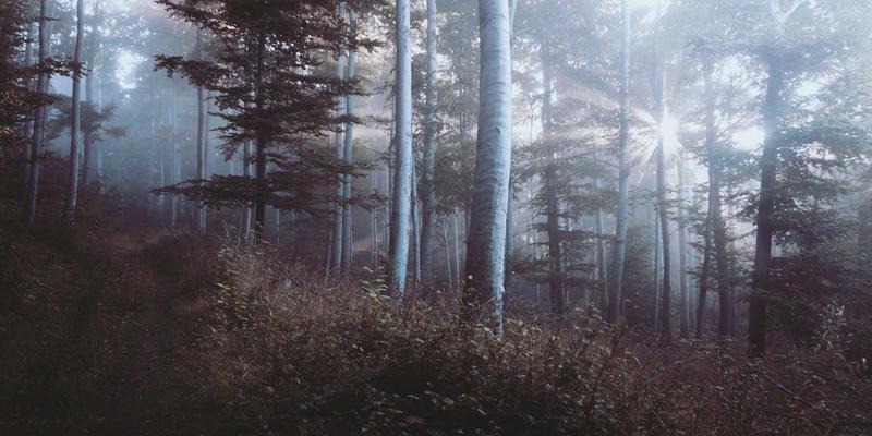 北京佳诚办公楼装修新思路：智能办公系统如何重塑企业空间效率与工程价值