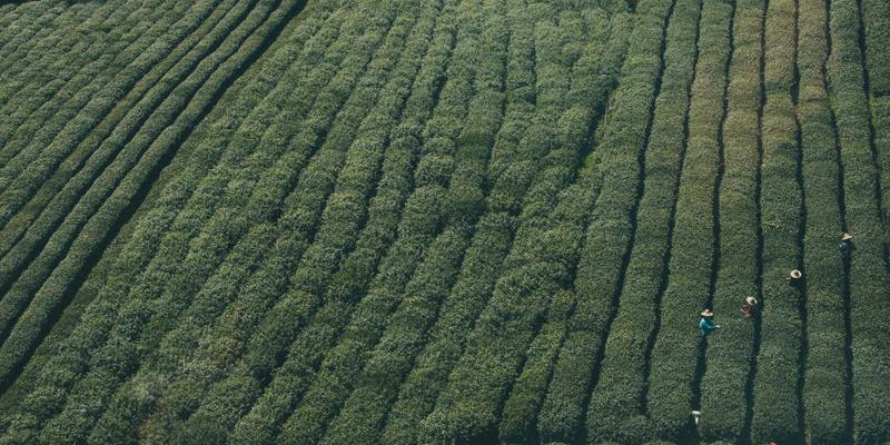 数字化转型新引擎:北京佳诚如何赋能中小企业破局工程承包与装修行业